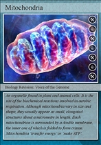 Mitochondria