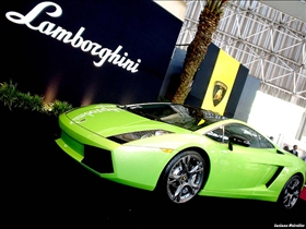 Lamborghini