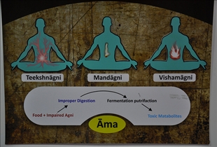 Ayurveda