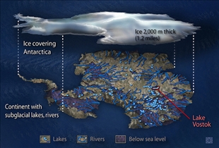 Antarctic Shrinkage