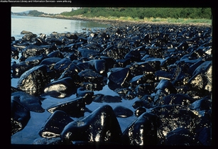 Exxon Valdez