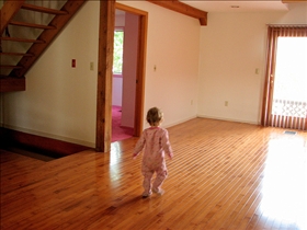 Bamboo Floors