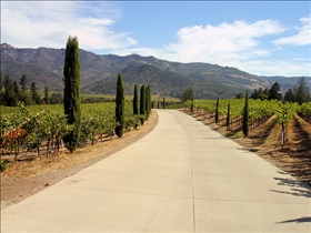 Napa Valley Wineries