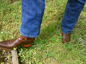 Bootcut Jeans