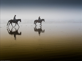 The Beach