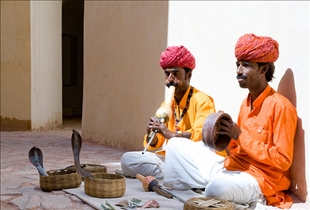 Indian Snake Charmers