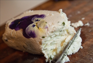 Goat Cheese