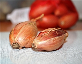 Shallots