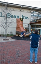 LLBean