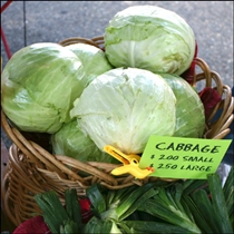 Cabbage