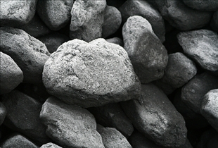 Coal