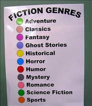 Fiction