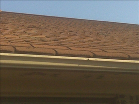 Asphalt Shingles