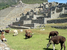 Peru