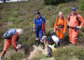 Search And Rescue Dog